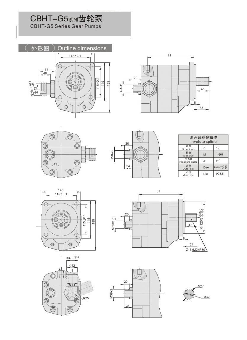CBHT-G5CBTD Series Gear Pumps